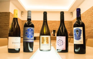 Cata de 5 vinos en la enoteca Vadevins Alicante, 9 de febrero 2018